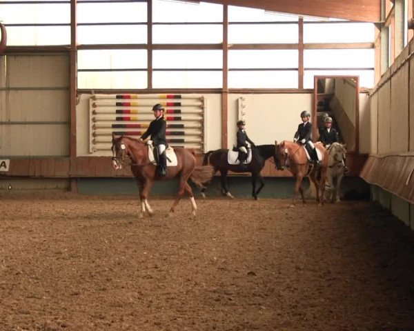 Reitturnier Meinerzhagen 2016