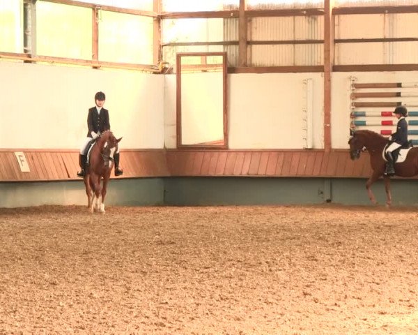 Reitturnier Meinerzhagen 2016