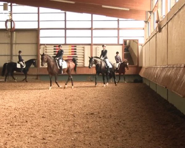 Reitturnier Meinerzhagen 2016