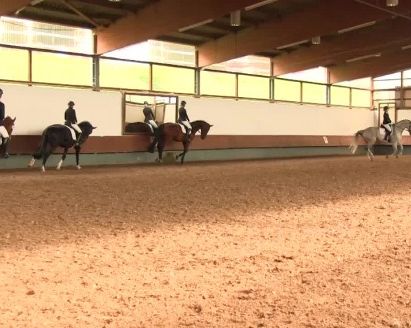 Reitturnier Meinerzhagen 2016