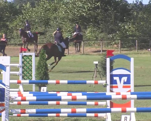 Reitturnier Großensee 2016