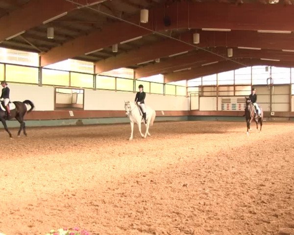 Reitturnier Meinerzhagen 2016