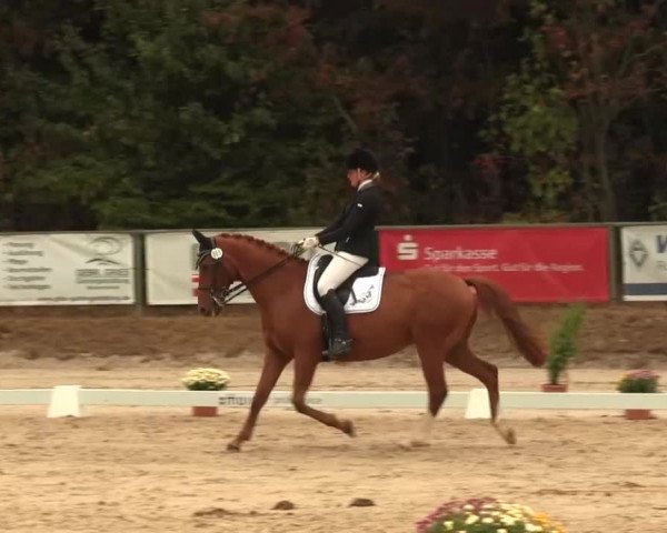 Reitturnier Meinerzhagen 2016