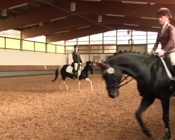 Reitturnier Meinerzhagen 2016