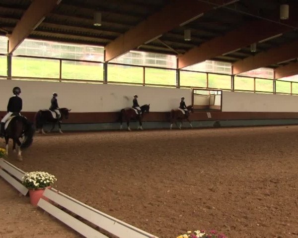 Reitturnier Meinerzhagen 2016