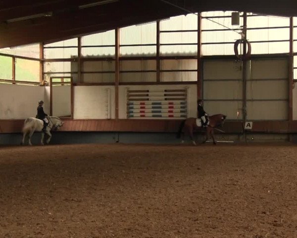 Reitturnier Meinerzhagen 2016