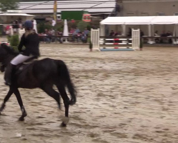 Reitturnier Buchenhof-Ibbenbüren 2016
