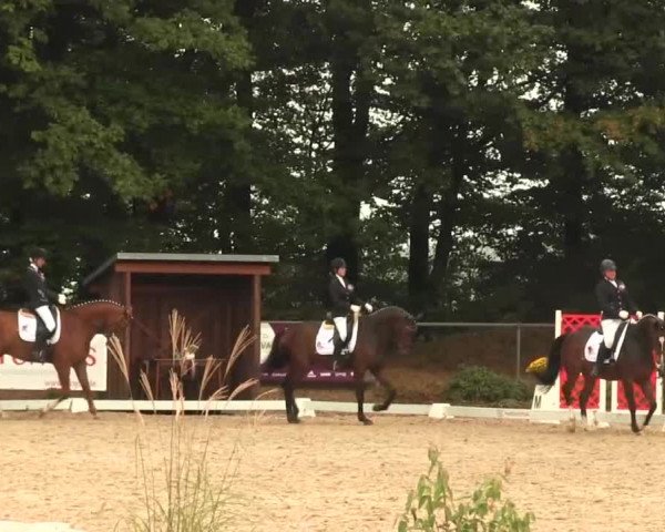 Reitturnier Meinerzhagen 2016