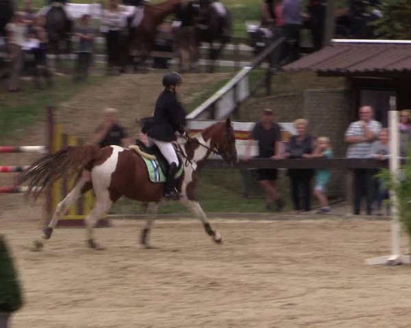 Reitturnier Buchenhof-Ibbenbüren 2016