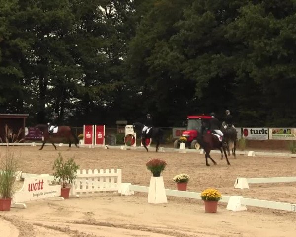 Reitturnier Meinerzhagen 2016