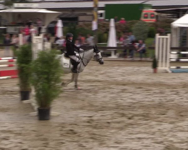 Reitturnier Buchenhof-Ibbenbüren 2016