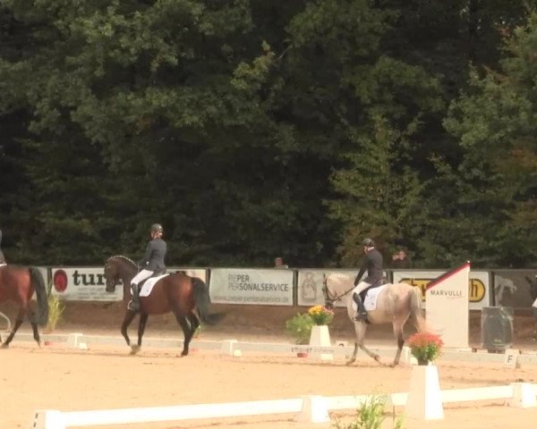 Reitturnier Meinerzhagen 2016