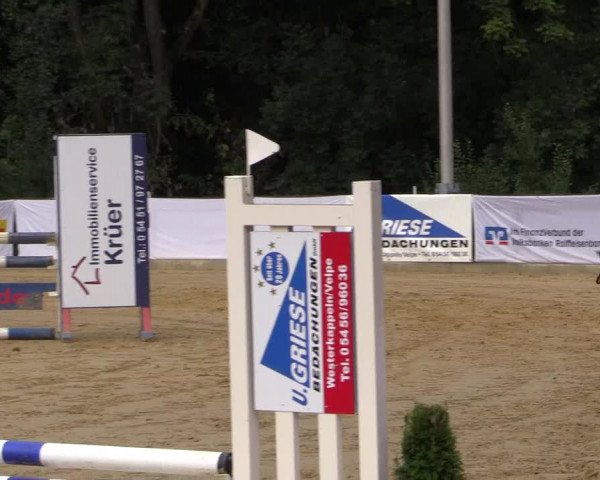 Reitturnier Buchenhof-Ibbenbüren 2016