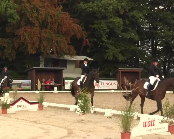 Reitturnier Meinerzhagen 2016