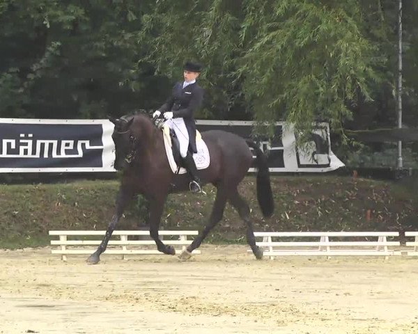 Nordbadische Meisterschaften Dressur 2016