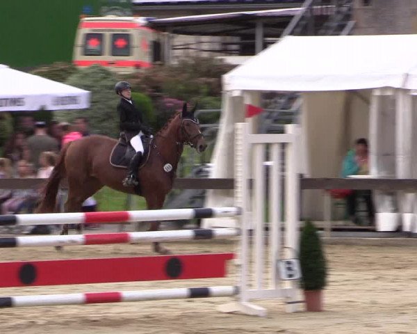 Reitturnier Buchenhof-Ibbenbüren 2016