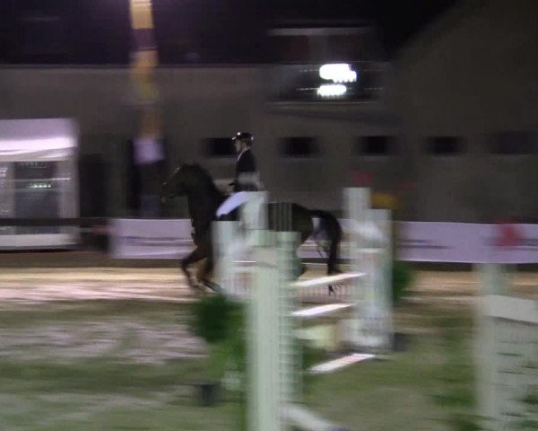 Reitturnier Buchenhof-Ibbenbüren 2016