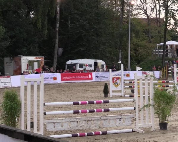 Reitturnier Buchenhof-Ibbenbüren 2016