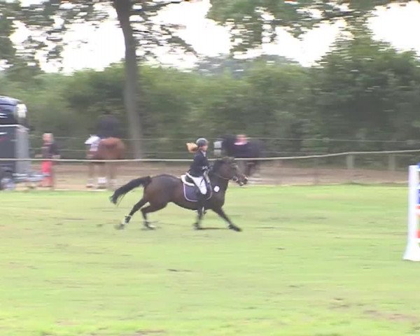 Reitturnier Großensee 2016