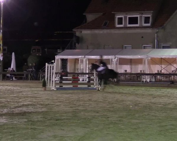 Reitturnier Buchenhof-Ibbenbüren 2016