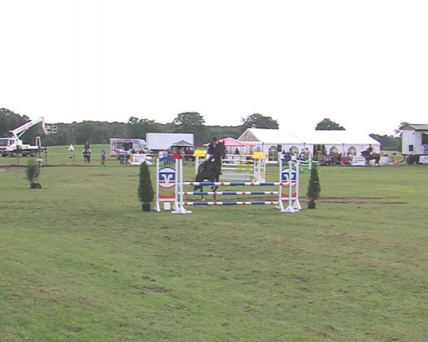 Reitturnier Großensee 2016