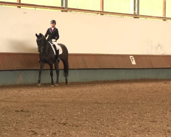 Reitturnier Meinerzhagen 2016