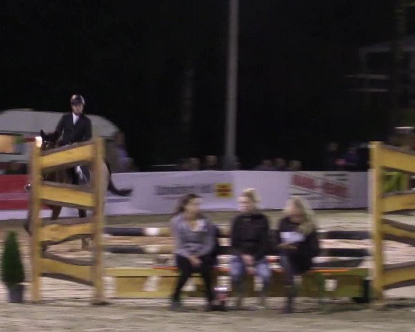 Reitturnier Buchenhof-Ibbenbüren 2016