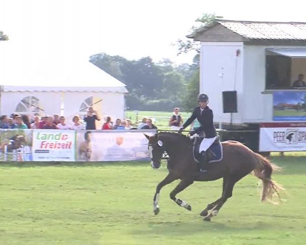 Reitturnier Großensee 2016