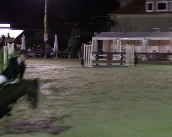 Reitturnier Buchenhof-Ibbenbüren 2016