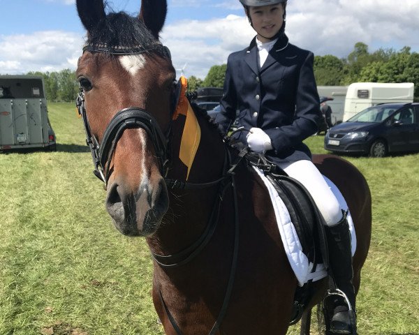dressage horse Milky's Memory (German Riding Pony, 2013, from Rappenbergs Milky Way)