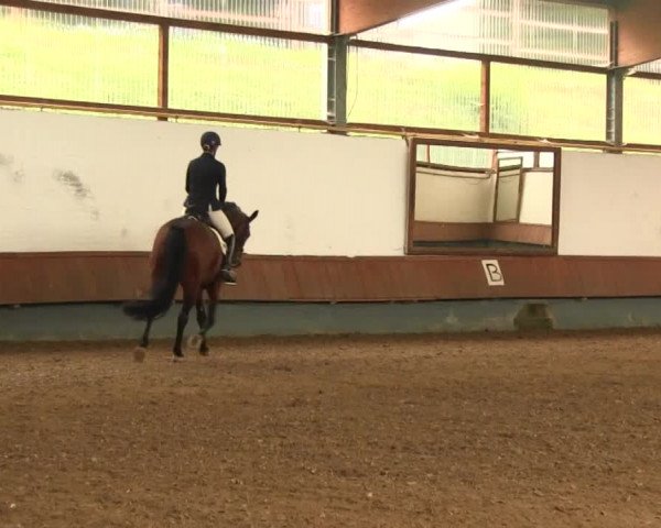 Reitturnier Meinerzhagen 2016