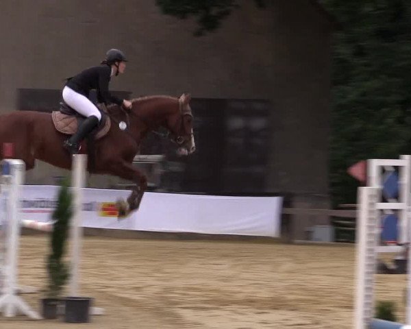 Reitturnier Buchenhof-Ibbenbüren 2016