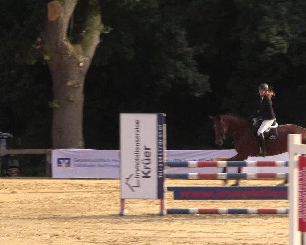 Reitturnier Buchenhof-Ibbenbüren 2016