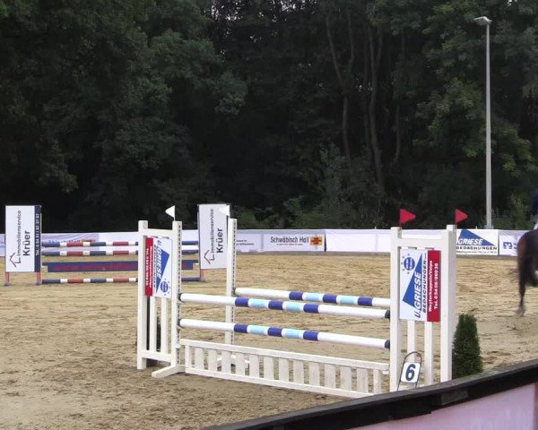 Reitturnier Buchenhof-Ibbenbüren 2016