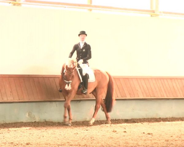 Reitturnier Meinerzhagen 2016