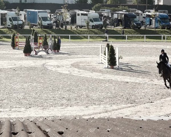 Pferdesporttage Bülach 2021