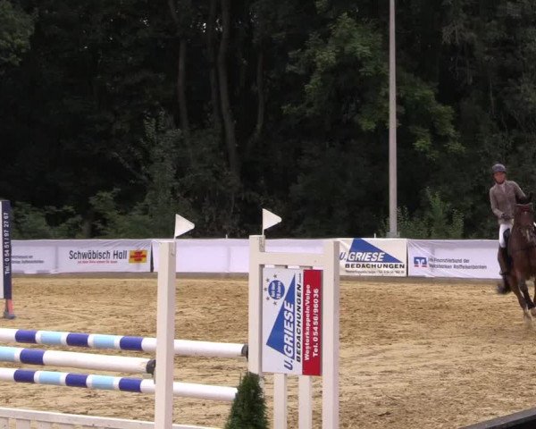 Reitturnier Buchenhof-Ibbenbüren 2016