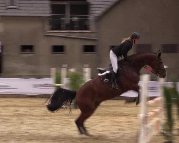 Reitturnier Buchenhof-Ibbenbüren 2016