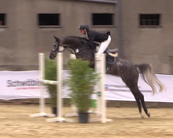 Reitturnier Buchenhof-Ibbenbüren 2016