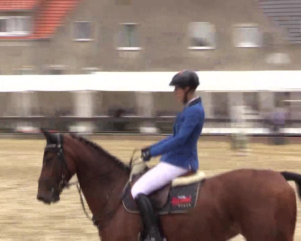 Reitturnier Buchenhof-Ibbenbüren 2016