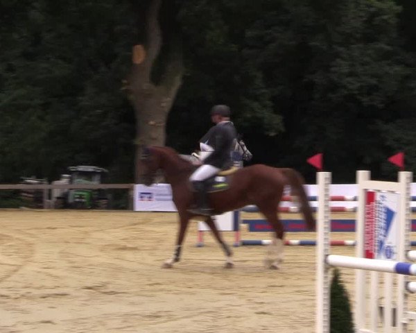 Reitturnier Buchenhof-Ibbenbüren 2016
