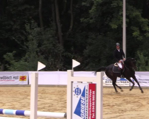Reitturnier Buchenhof-Ibbenbüren 2016