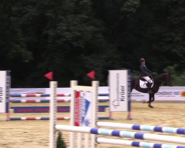 Reitturnier Buchenhof-Ibbenbüren 2016