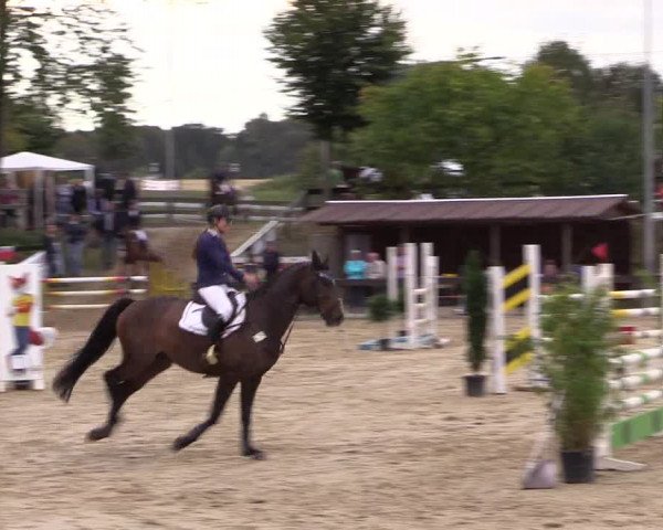Reitturnier Buchenhof-Ibbenbüren 2016