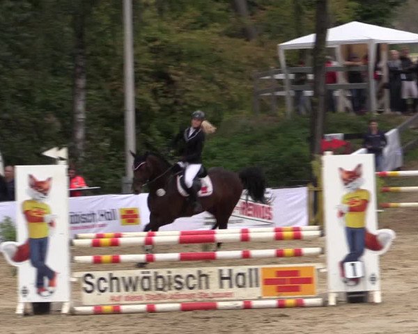Reitturnier Buchenhof-Ibbenbüren 2016