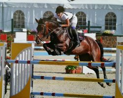 Springpferd Lugana K (Bayer, 2007, von Lancerto)