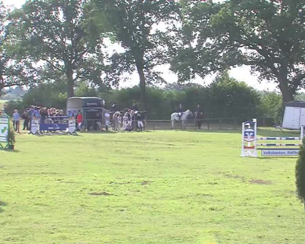Reitturnier Großensee 2016