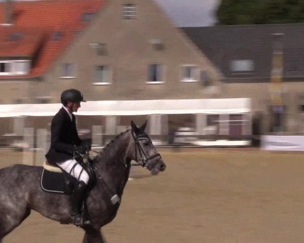 Reitturnier Buchenhof-Ibbenbüren 2016