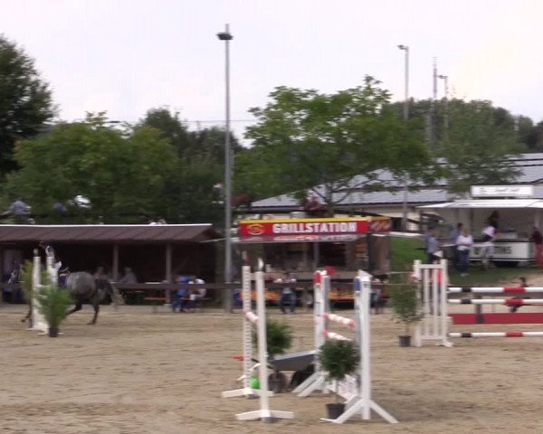Reitturnier Buchenhof-Ibbenbüren 2016