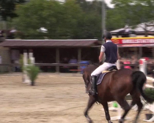 Reitturnier Buchenhof-Ibbenbüren 2016